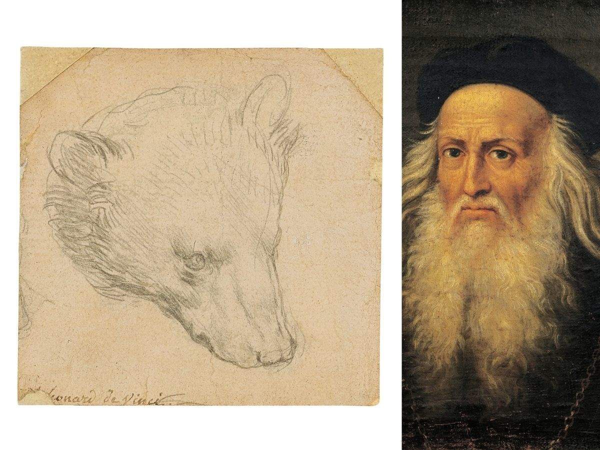 Bức phác họa “Đầu gấu” của Leonardo Da Vinci sẽ được rao bán với mức giá 17 triệu USD ?