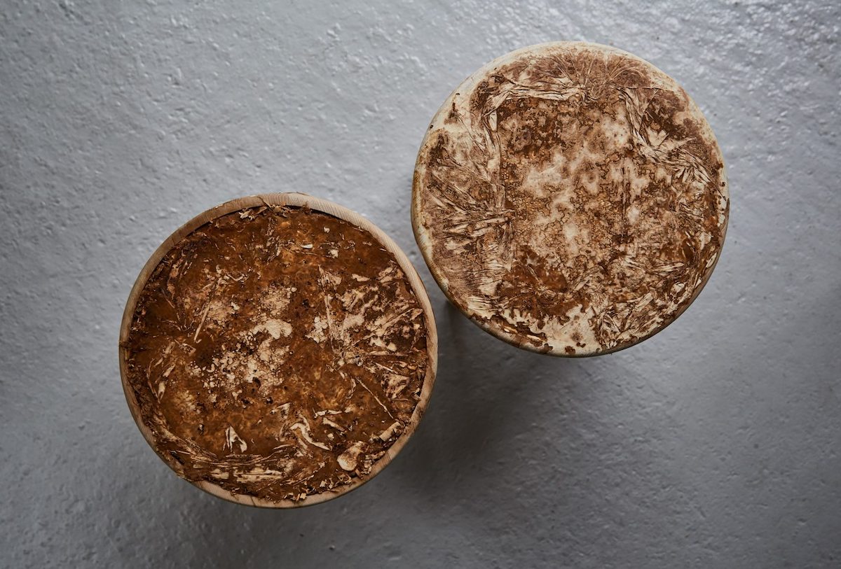 Mycelium + Timber - Ứng dụng thú vị từ sợi nấm vào sản phẩm nội thất 